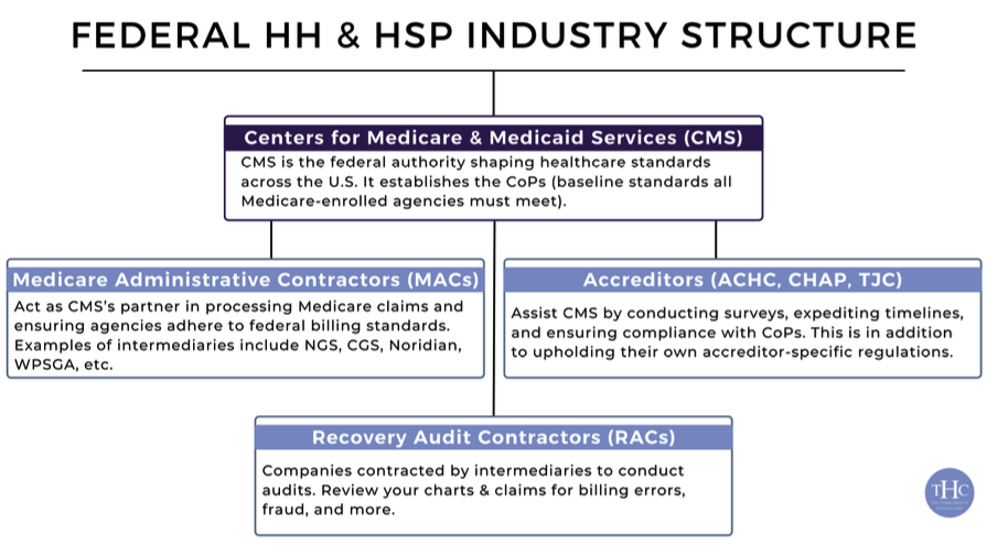 A chart depicting the structure of the home health and hospice industry.